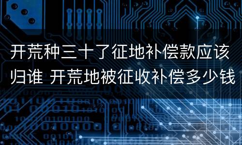 开荒种三十了征地补偿款应该归谁 开荒地被征收补偿多少钱