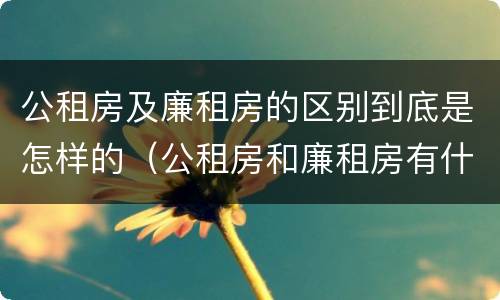 公租房及廉租房的区别到底是怎样的（公租房和廉租房有什么区别吗）