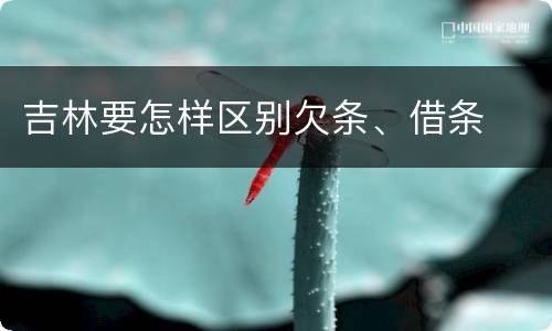 吉林要怎样区别欠条、借条