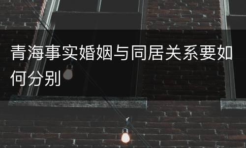 青海事实婚姻与同居关系要如何分别