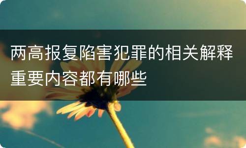 两高报复陷害犯罪的相关解释重要内容都有哪些