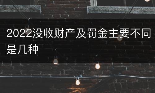 2022没收财产及罚金主要不同是几种