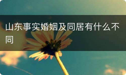 山东事实婚姻及同居有什么不同