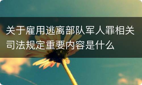 关于雇用逃离部队军人罪相关司法规定重要内容是什么
