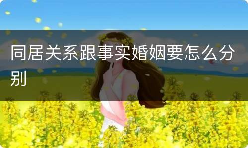 同居关系跟事实婚姻要怎么分别