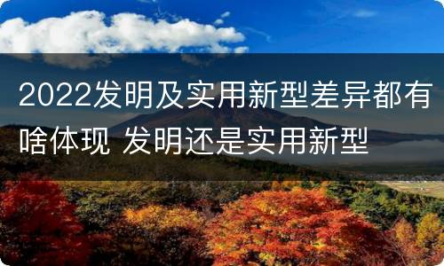2022发明及实用新型差异都有啥体现 发明还是实用新型