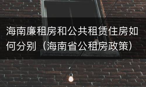 海南廉租房和公共租赁住房如何分别（海南省公租房政策）