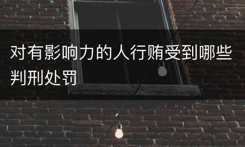 对有影响力的人行贿受到哪些判刑处罚