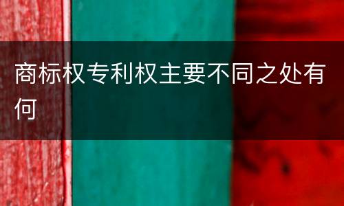 商标权专利权主要不同之处有何