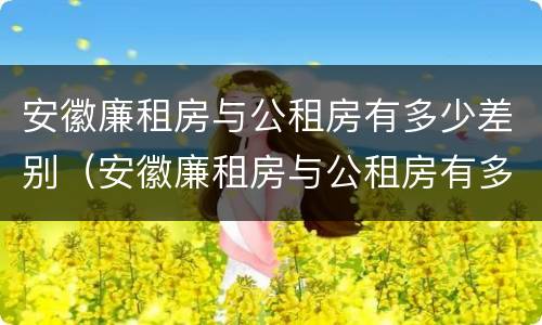 安徽廉租房与公租房有多少差别（安徽廉租房与公租房有多少差别呢）