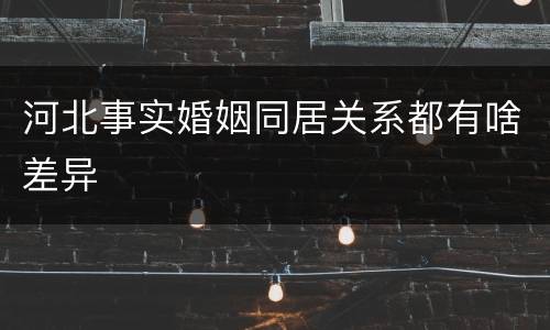 河北事实婚姻同居关系都有啥差异