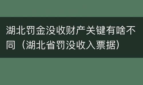 湖北罚金没收财产关键有啥不同（湖北省罚没收入票据）