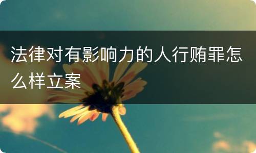 法律对有影响力的人行贿罪怎么样立案