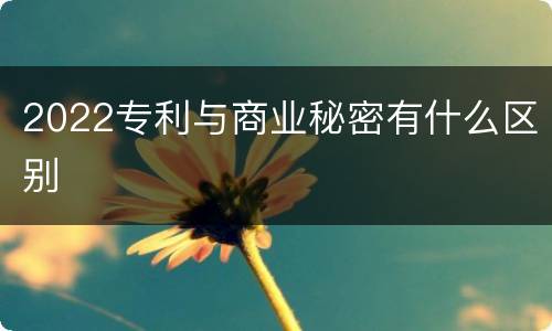 2022专利与商业秘密有什么区别