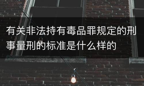 有关非法持有毒品罪规定的刑事量刑的标准是什么样的