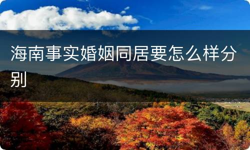 海南事实婚姻同居要怎么样分别
