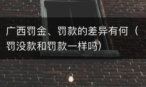 广西罚金、罚款的差异有何（罚没款和罚款一样吗）