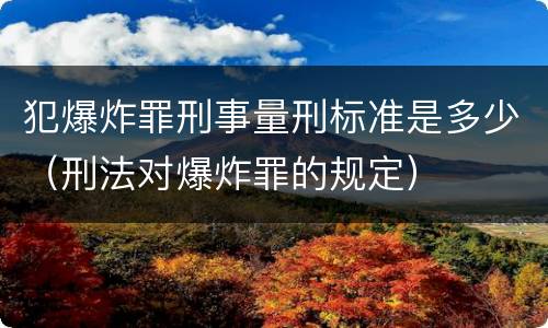 犯爆炸罪刑事量刑标准是多少（刑法对爆炸罪的规定）