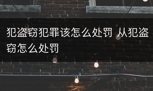 犯盗窃犯罪该怎么处罚 从犯盗窃怎么处罚