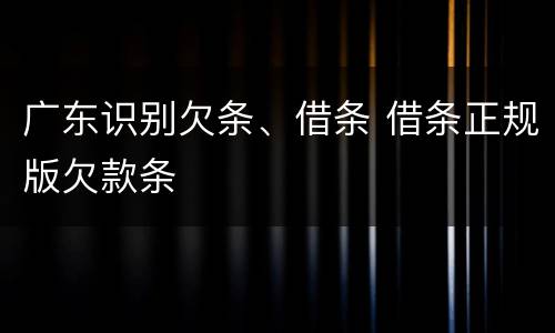 广东识别欠条、借条 借条正规版欠款条