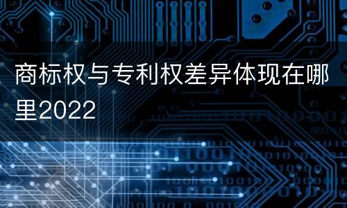 商标权与专利权差异体现在哪里2022