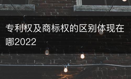 专利权及商标权的区别体现在哪2022