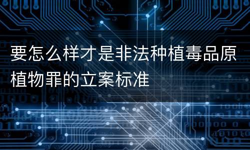 要怎么样才是非法种植毒品原植物罪的立案标准