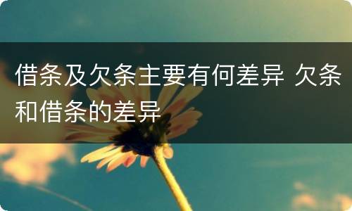 借条及欠条主要有何差异 欠条和借条的差异