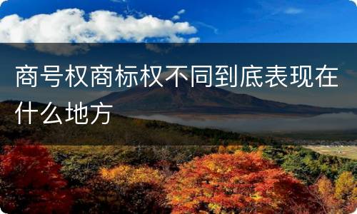 商号权商标权不同到底表现在什么地方