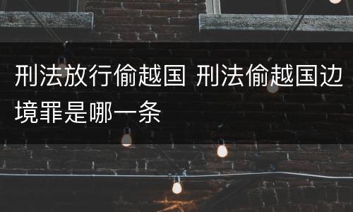 刑法放行偷越国 刑法偷越国边境罪是哪一条