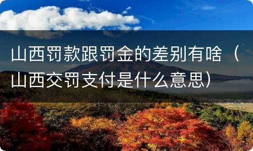 山西罚款跟罚金的差别有啥（山西交罚支付是什么意思）