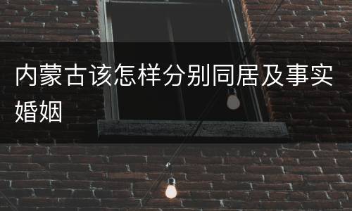 内蒙古该怎样分别同居及事实婚姻