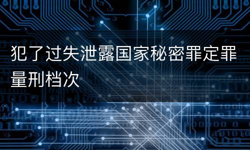 犯了过失泄露国家秘密罪定罪量刑档次