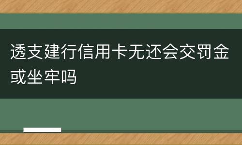 透支建行信用卡无还会交罚金或坐牢吗