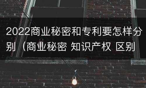 2022商业秘密和专利要怎样分别（商业秘密 知识产权 区别）