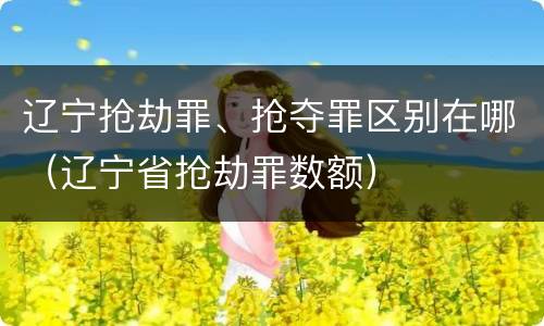 辽宁抢劫罪、抢夺罪区别在哪（辽宁省抢劫罪数额）