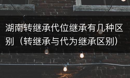 湖南转继承代位继承有几种区别（转继承与代为继承区别）