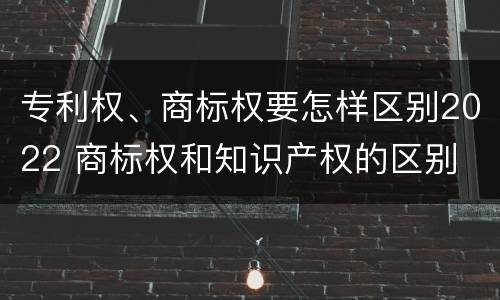 专利权、商标权要怎样区别2022 商标权和知识产权的区别