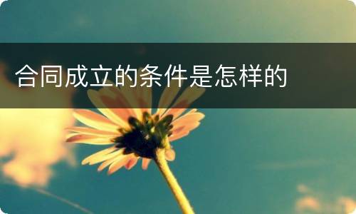 合同成立的条件是怎样的