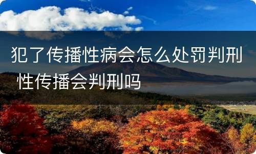 犯了传播性病会怎么处罚判刑 性传播会判刑吗