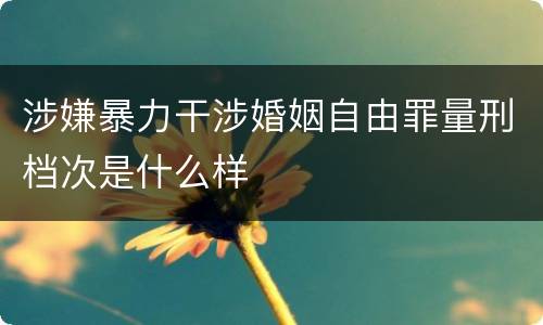 涉嫌暴力干涉婚姻自由罪量刑档次是什么样