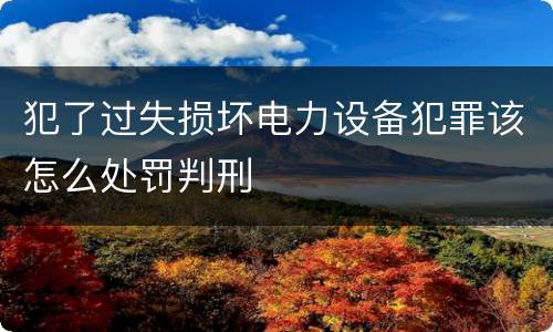 犯了过失损坏电力设备犯罪该怎么处罚判刑