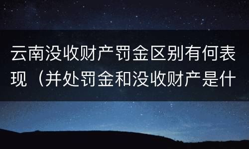 云南没收财产罚金区别有何表现（并处罚金和没收财产是什么意思）