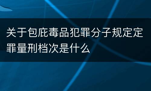 关于包庇毒品犯罪分子规定定罪量刑档次是什么