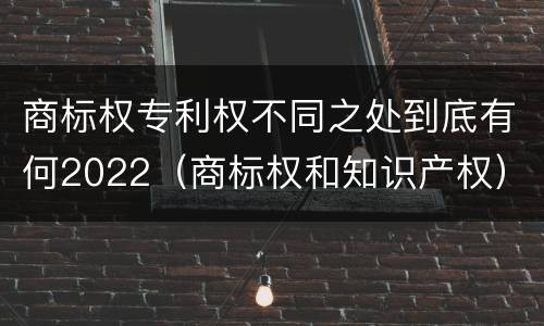 商标权专利权不同之处到底有何2022（商标权和知识产权）