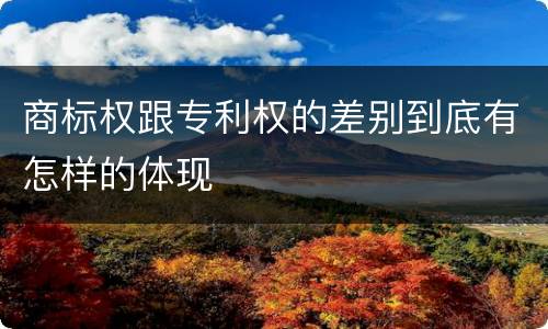 商标权跟专利权的差别到底有怎样的体现