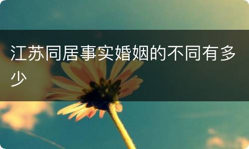 江苏同居事实婚姻的不同有多少