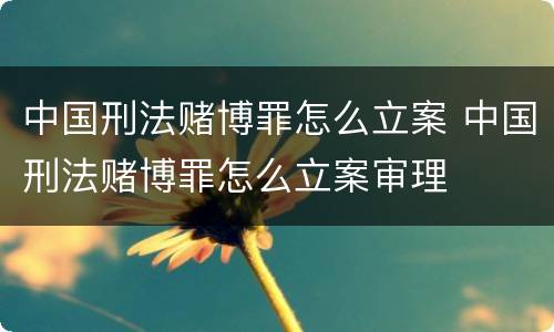 中国刑法赌博罪怎么立案 中国刑法赌博罪怎么立案审理