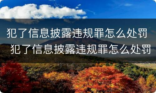 犯了信息披露违规罪怎么处罚 犯了信息披露违规罪怎么处罚的