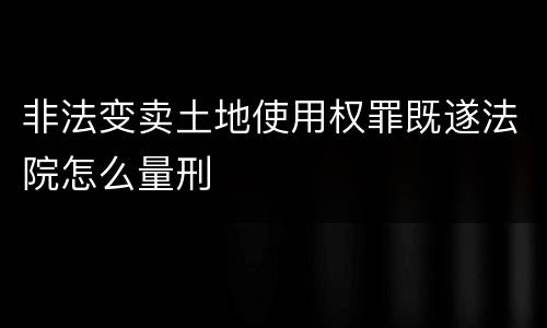 非法变卖土地使用权罪既遂法院怎么量刑
